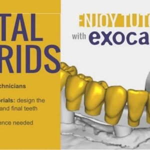 Digital Hybrids for Dentists & Technicians